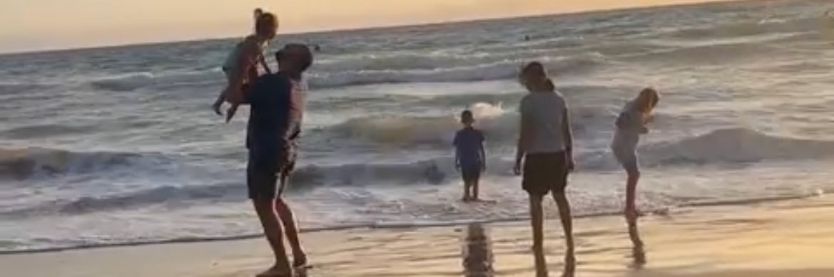 The Vanilla Gorilla 🦍 banner