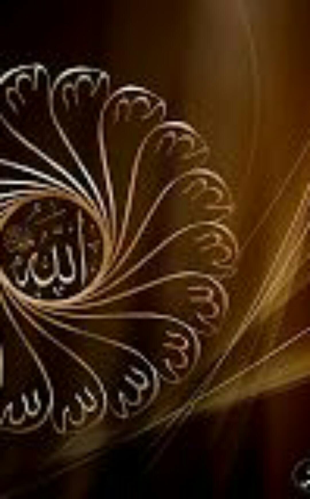sa8888sh's profile banner image