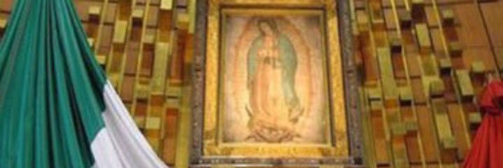 argosmarce's profile banner image