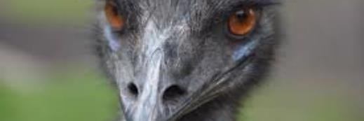 WittySchmitty69's profile banner image
