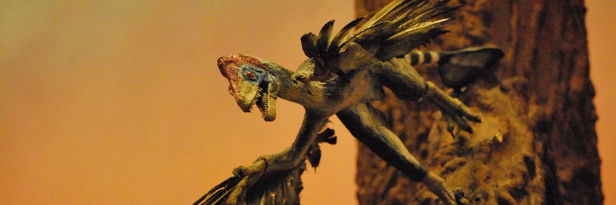 Dinologue's profile banner image