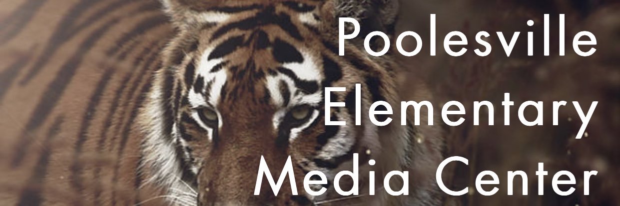 👩🏼‍🏫Clair Ketchum, Media Specialist banner