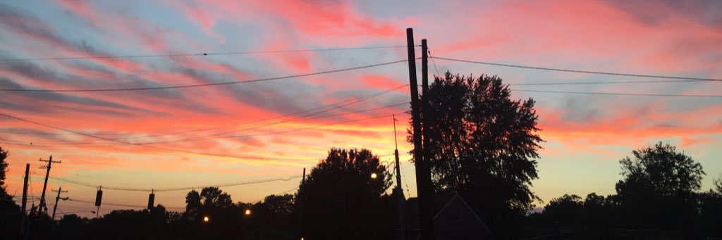 Kayla_Nehus's profile banner image