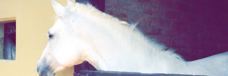 AnaMariaEslava's profile banner image
