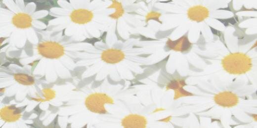 _4everyoung_'s profile banner image