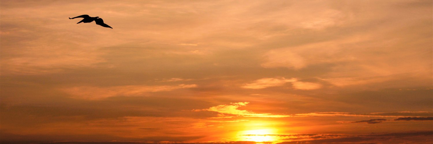 JRRestrepo banner
