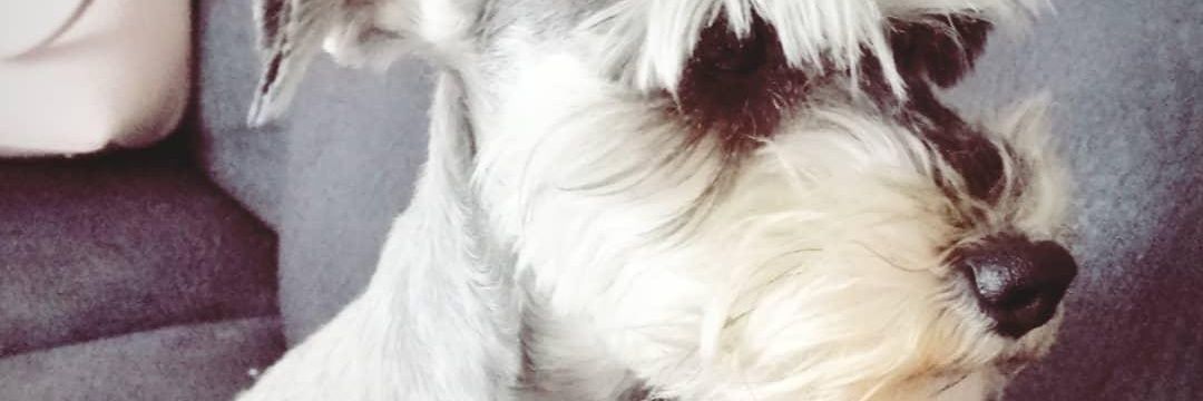 1230_valentain's profile banner image