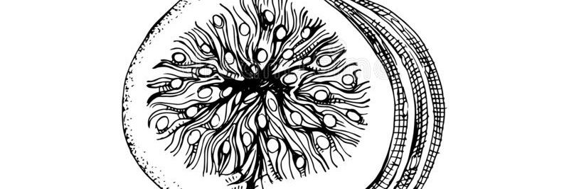 Athi_Rule's profile banner image