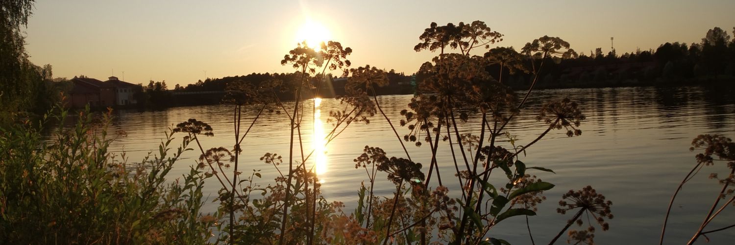 Saranya Palaniswamy banner