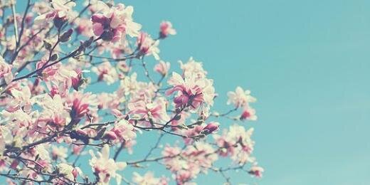 dgocj's profile banner image