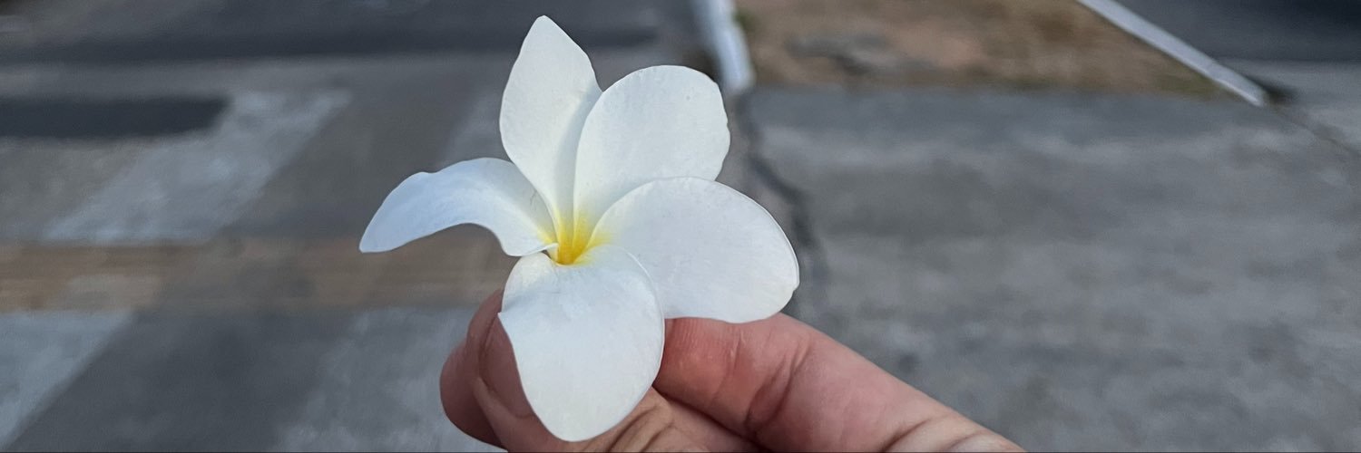 naosouobrabo's profile banner image