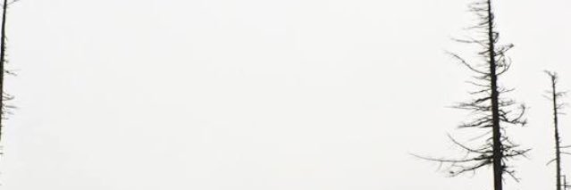 Stephizzle_x's profile banner image