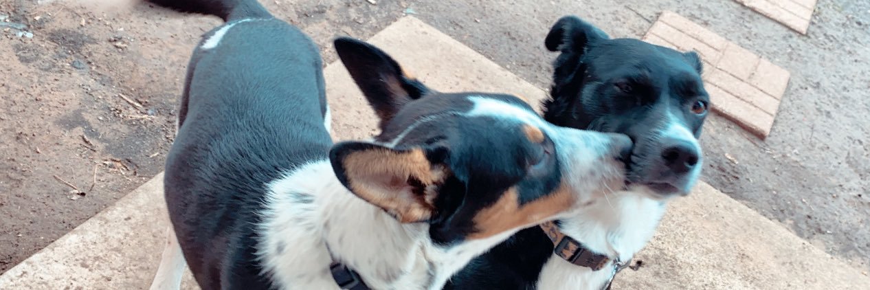 MckenzieTidwell's profile banner image