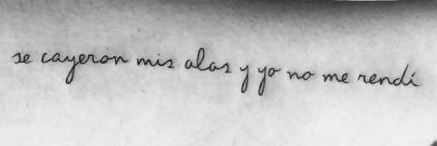 Paseando72 banner