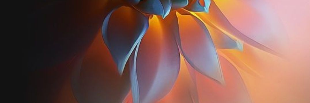 viewserenity's profile banner image