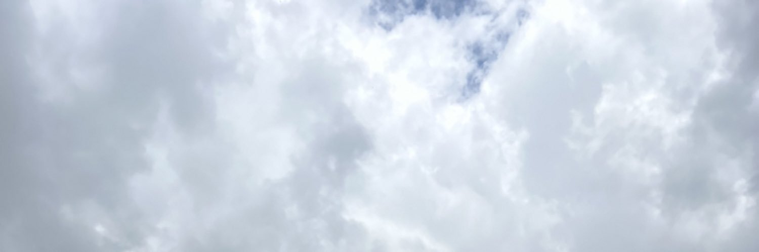 _MariaTerezaU's profile banner image