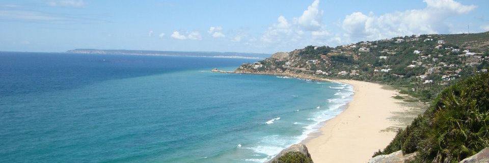 Pedro Beca-Carretero banner