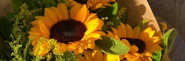 A🧚🏼‍♀️ banner