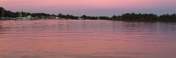 lydfin Profile Banner