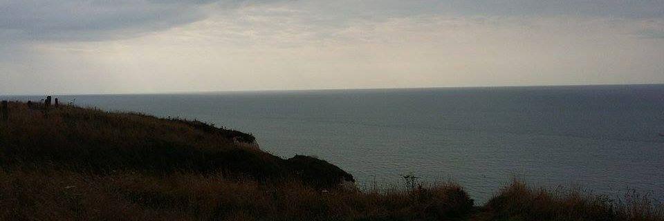 Tilde_Ma's profile banner image