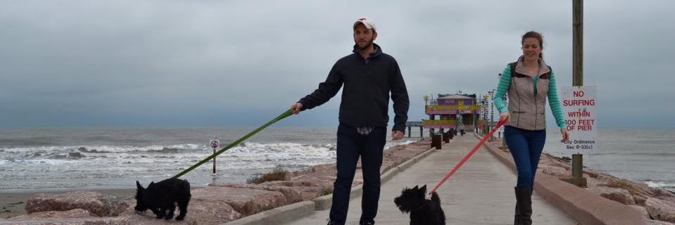 MrDrTravis's profile banner image
