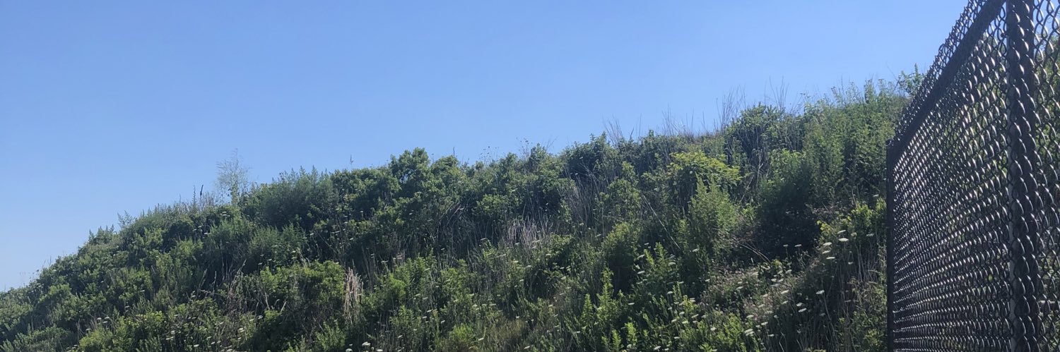 madootl's profile banner image