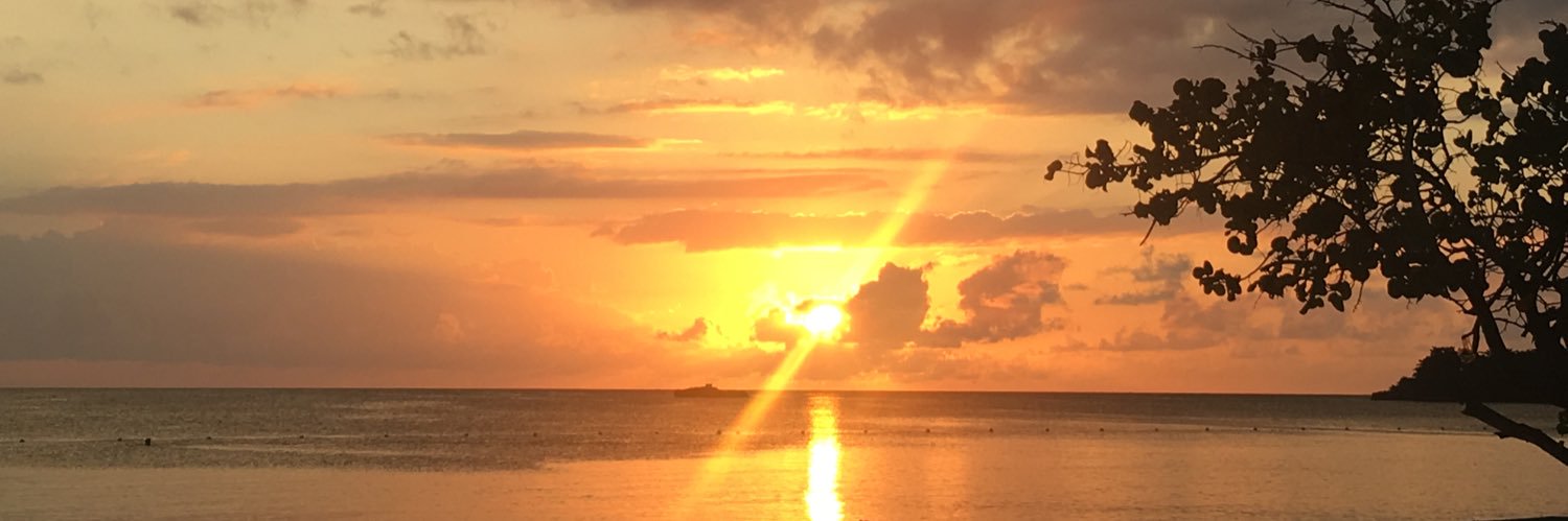 daviesdoesit1's profile banner image
