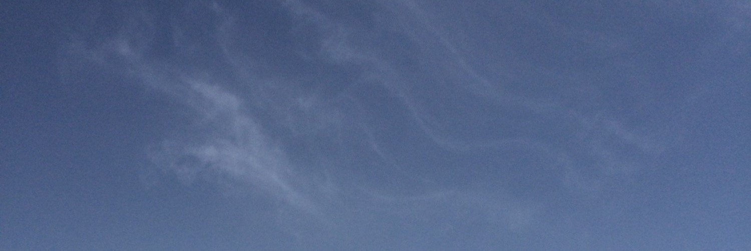 entoertoma's profile banner image
