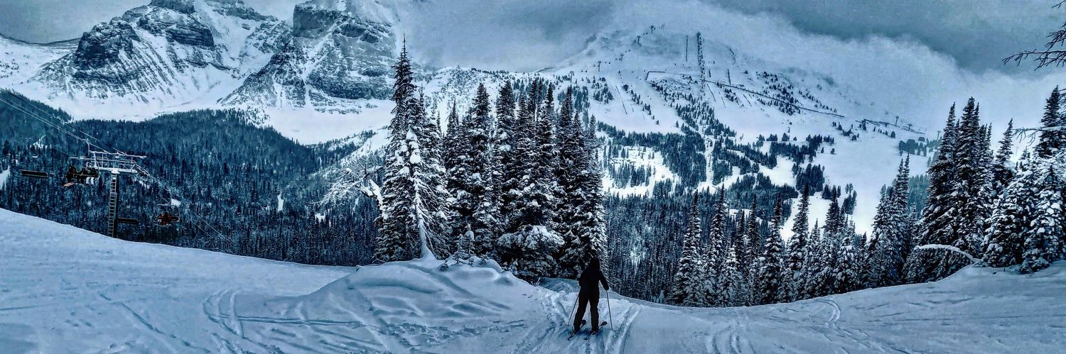 Dr Sandra Engstrom banner