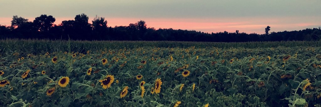 MariahKC3's profile banner image