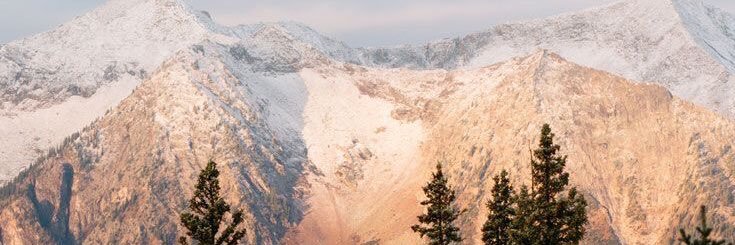 Tanie121's profile banner image