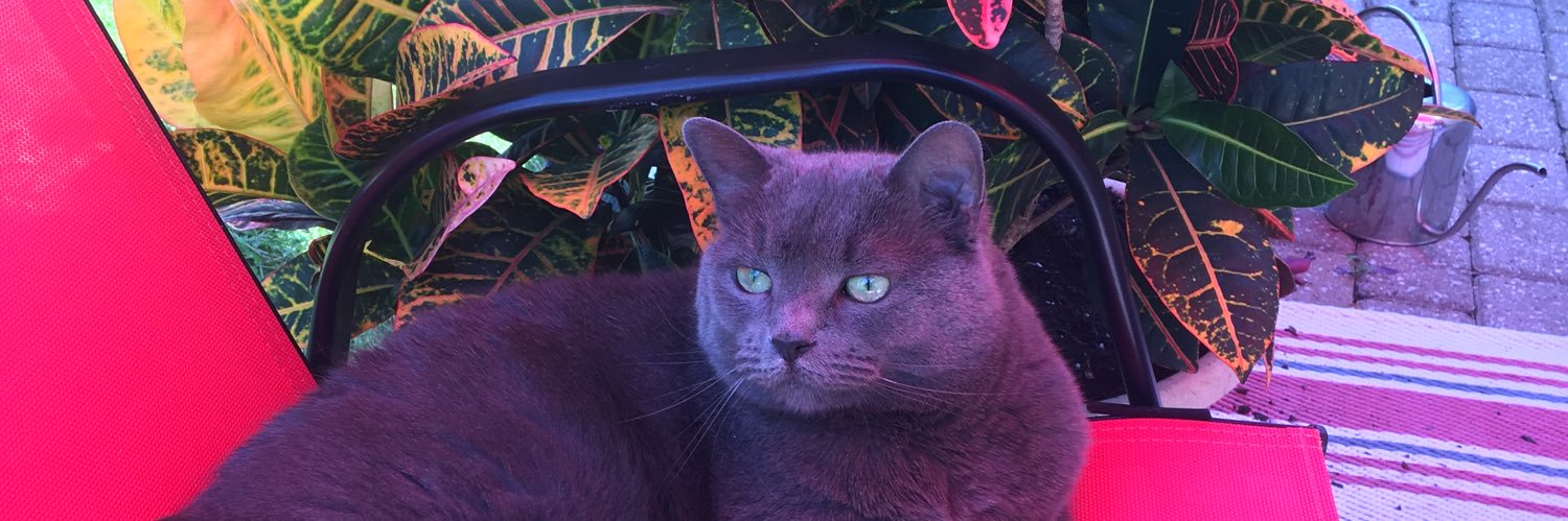 Kim MacLeod🇨🇦 🏴󠁧󠁢󠁳󠁣󠁴󠁿❄️☃️🇺🇦🐱 banner