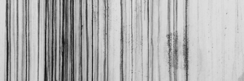 Andreas Zinggl banner