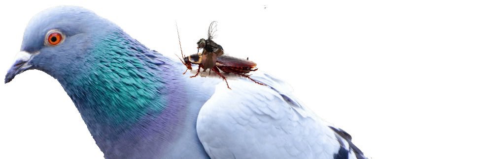 burnabothas's profile banner image