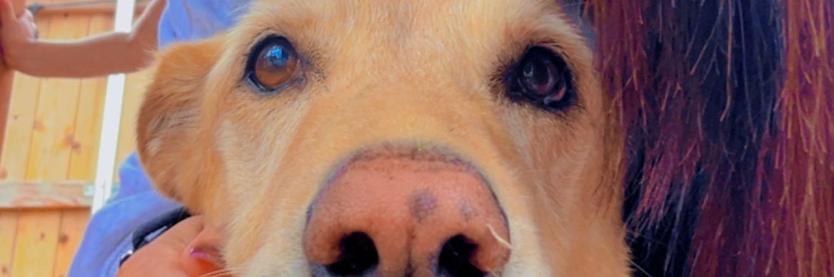cathyj2126's profile banner image