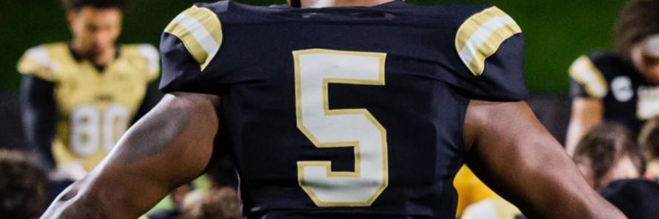 Dominique Thornhill banner