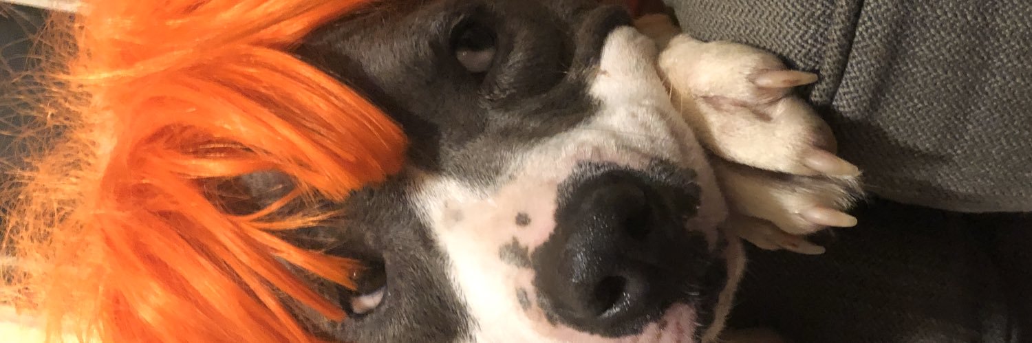 misswagan's profile banner image