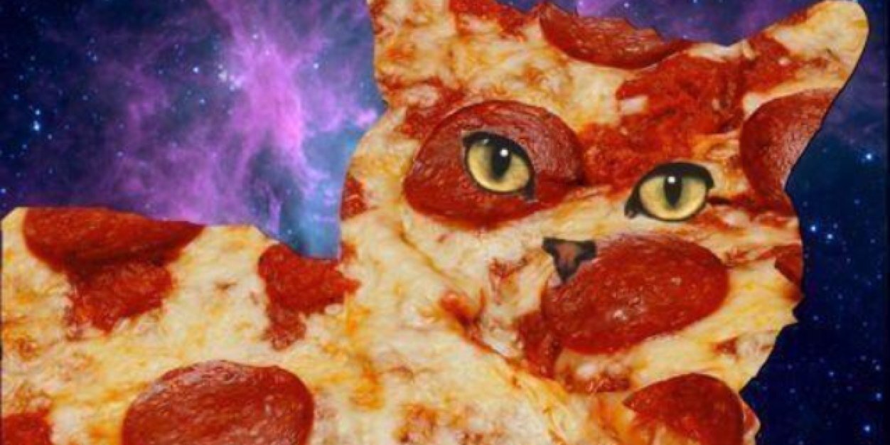 beesavvv's profile banner image