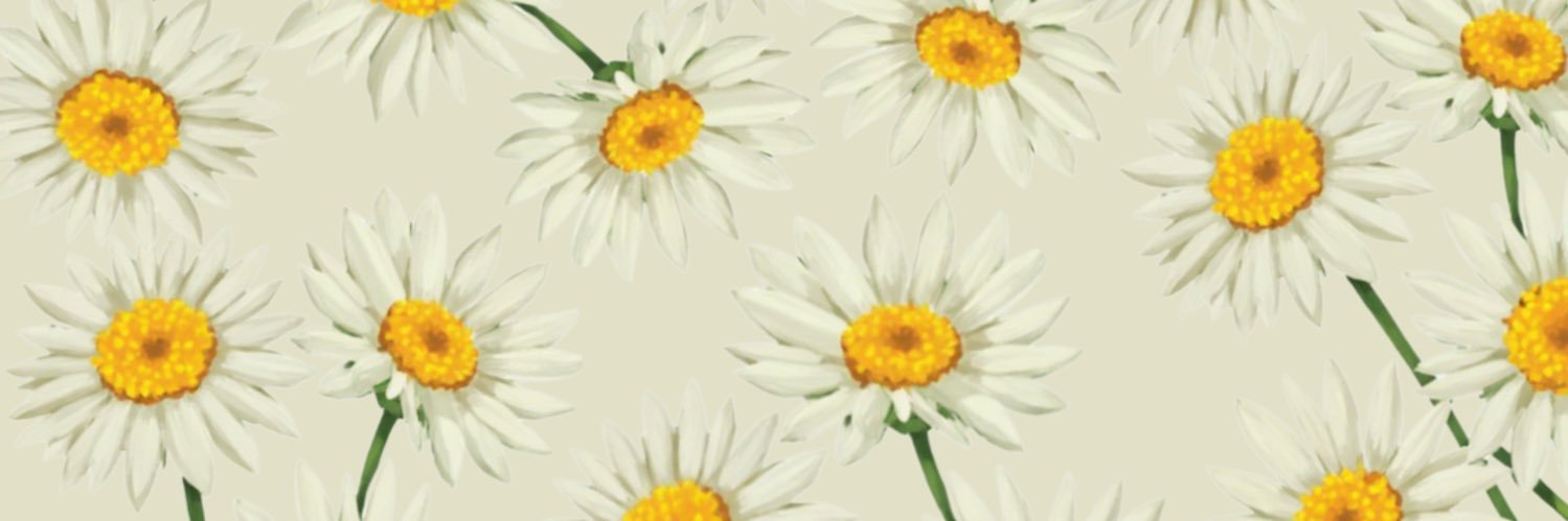 Patt banner