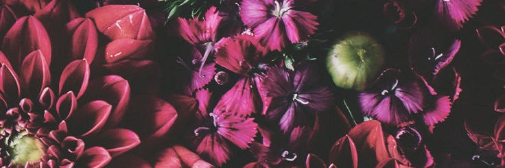 T_Sharp_'s profile banner image