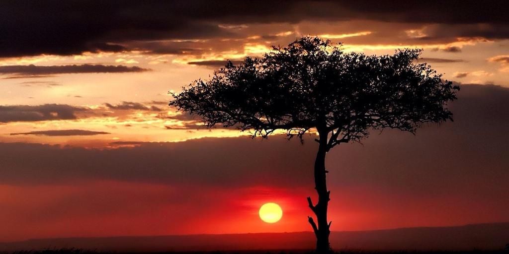 JOSLIZ1's profile banner image