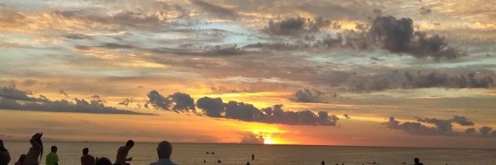 laurelfarias's profile banner image