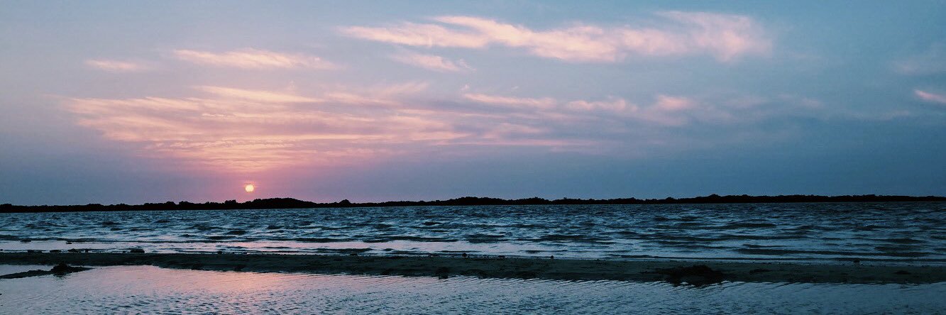 bodoor1416's profile banner image