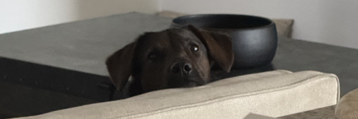 gavinmichael__'s profile banner image