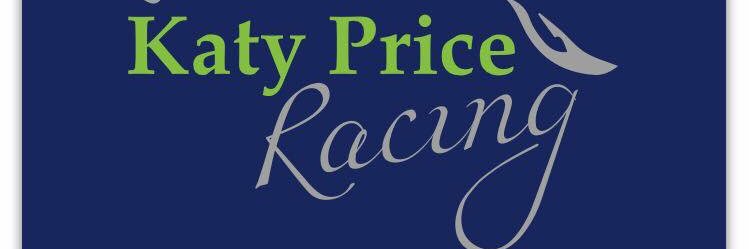 Katy Price banner