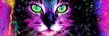 ElyTBarraza's profile banner image