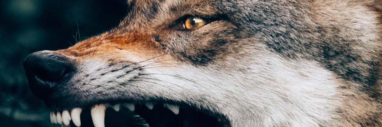 URREGOJOSC's profile banner image