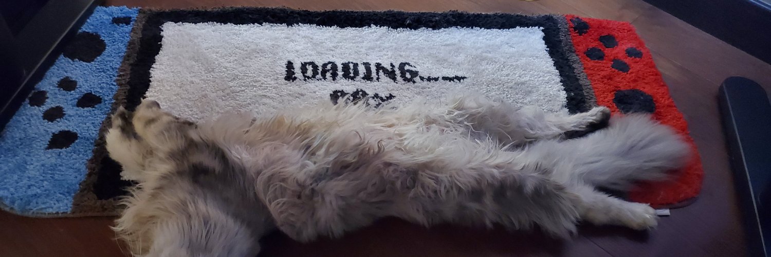 ScribblyLines's profile banner image