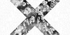 EverGreenHemm0's profile banner image