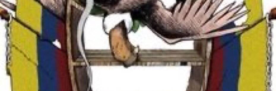 guerranell's profile banner image